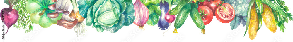 Obraz premium Watercolor banner of vegetables