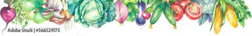 Watercolor banner of vegetables