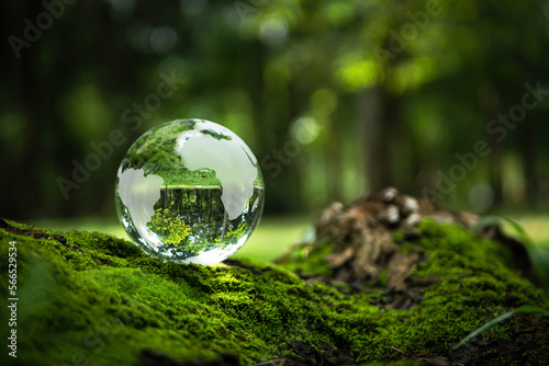 Environment Concept - Crystal Earth On moss In Forest With Ferns And Sunlight - Environment, save clean planet, ecology concept. Earth Day banner with copy space.