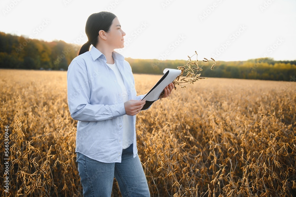 Young farmer woman standing in soy field in summer time, holding tablet and monitoring crop growth Young farmer woman standing in soy field in summer time, holding tablet and monitoring crop growth