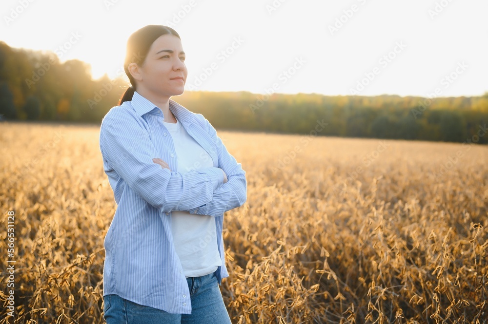 A young female farmer is working in a soybean field at sunset.