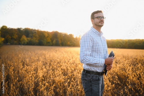 agronomist or farmer examining crop of soybeans field © Serhii