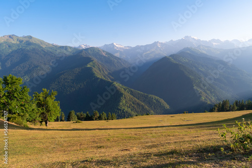 Beautiful valley and coniferous mountains of Svaneti in the sunset sunlight. Mestia, Heshkili. Beautiful mountain landscape