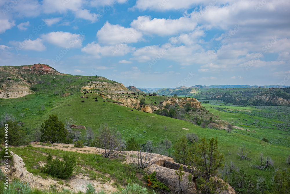 Theodore Roosevelt National Park, North Dakota, is where the Great Plains meet the rugged Badlands.