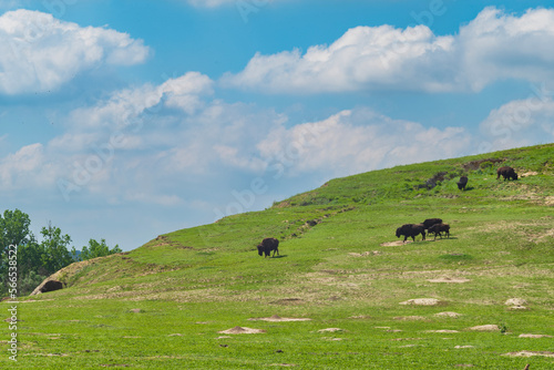 Theodore Roosevelt National Park, North Dakota, is where the Great Plains meet the rugged Badlands.