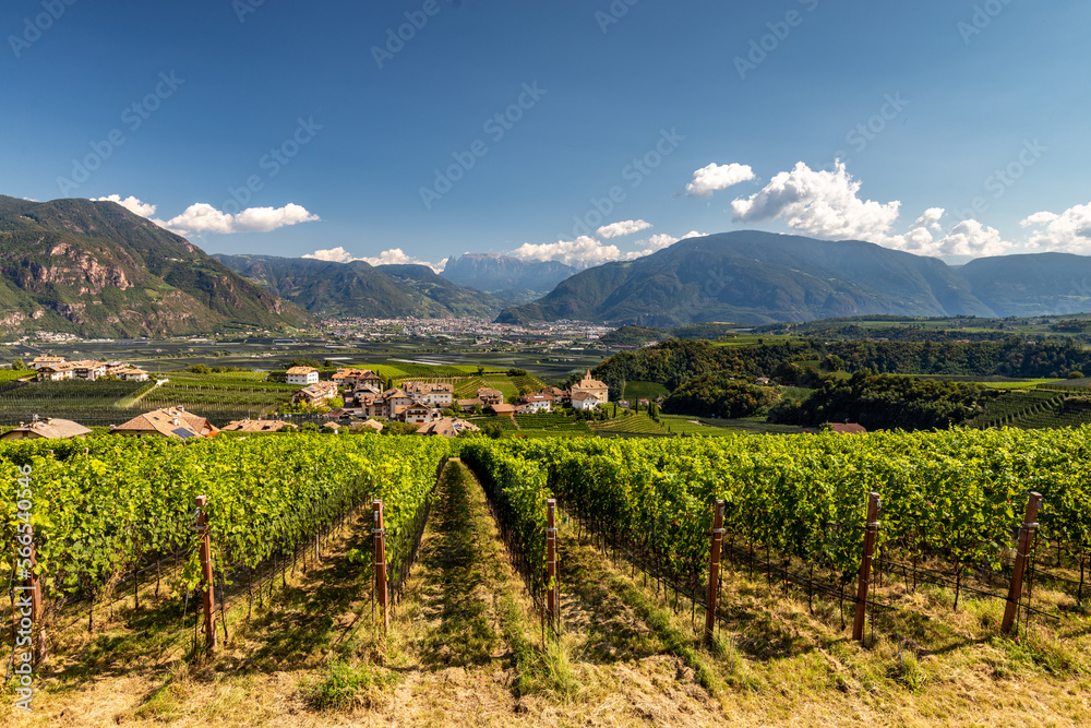 Landscape in the municipality of Eppan in South Tyrol, Italy