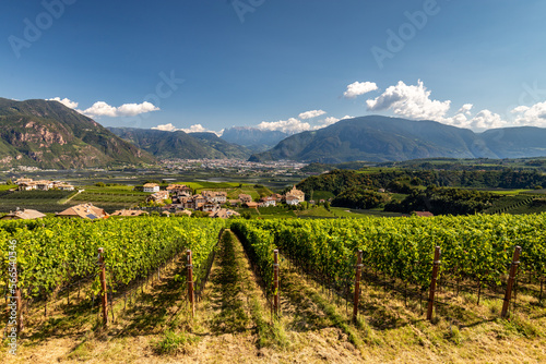 Landscape in the municipality of Eppan in South Tyrol, Italy