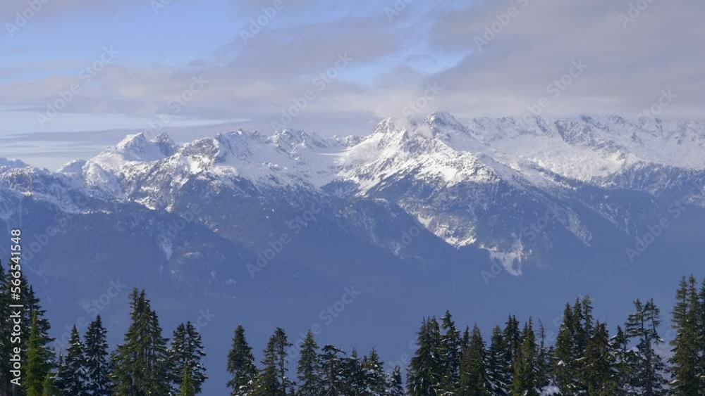 Conifer Treetops With Majestic Snow Rock Mountains In The Background. Static Shot Conifer Treetops With Majestic Snow Rock Mountains In The Background. Static Shot