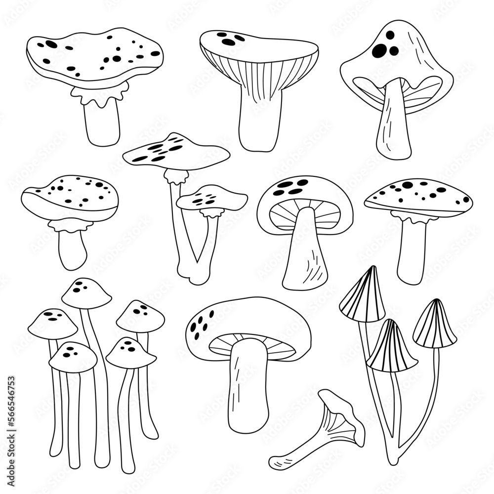 Black and white mushrooms set. Outline design. Decorative style collection hand drawn. Different cartoon mushrooms. Vector illustration. EPS Black and white mushrooms set. Outline design. Decorative style collection hand drawn. Different cartoon mushrooms. Vector illustration. EPS