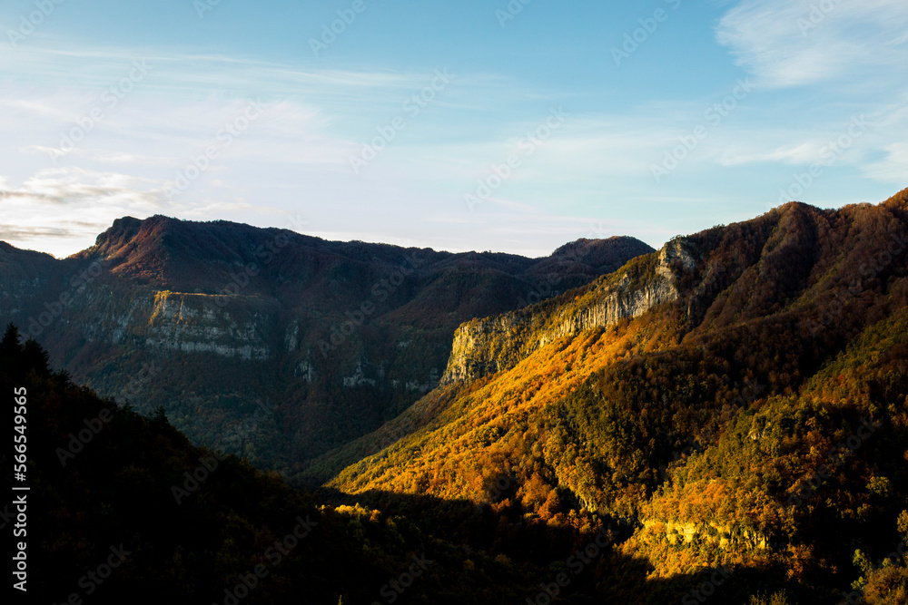 Autumn forest in Puigsacalm peak, La Garrotxa, Spain