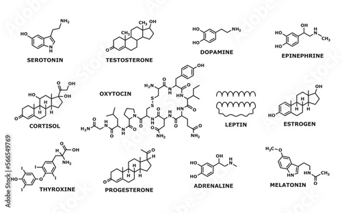 Hormone formula. Medicine, chemistry and biochemistry science research line symbols, human man and woman hormones formulas. Oxytocin and leptin, thyroxine, progesterone and adrenaline atom structure