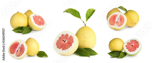 Fototapeta Naklejka Na Ścianę i Meble -  Collage with fresh pomelo fruits on white background
