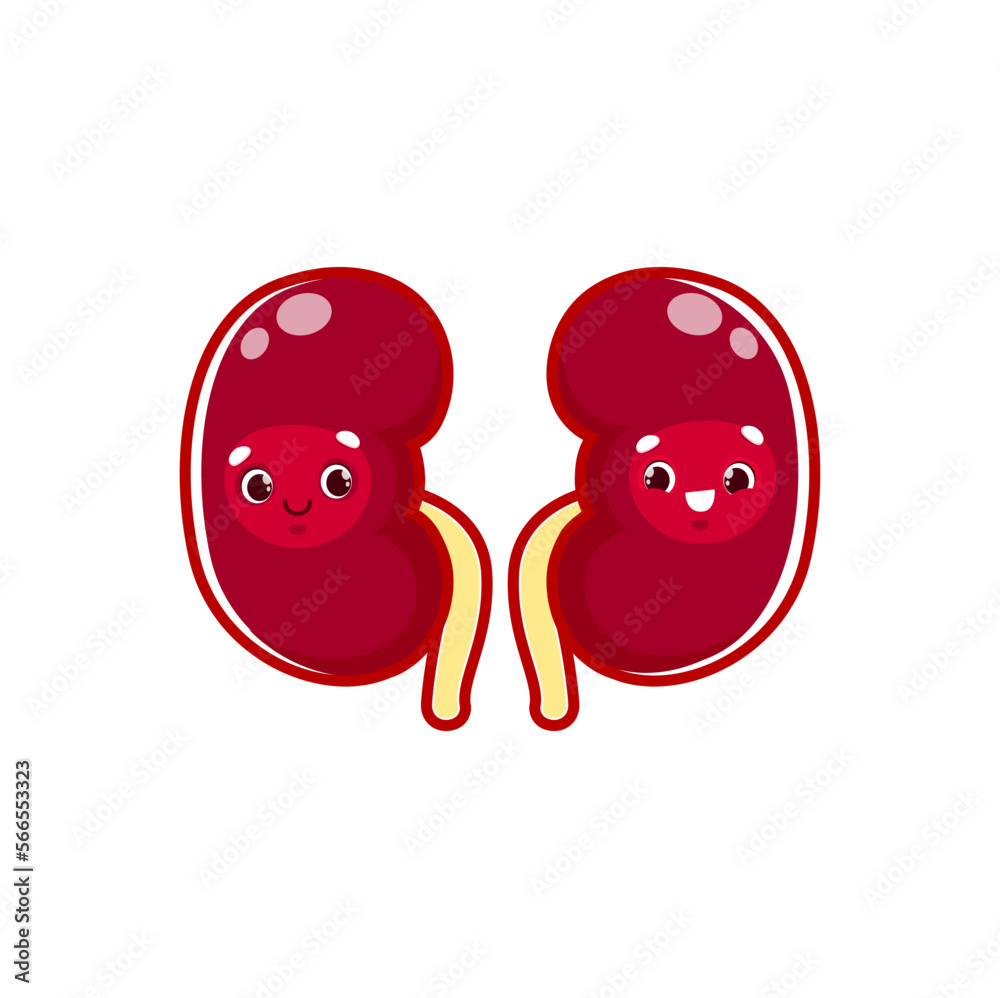 Cartoon kidneys human body organ character. Vector anatomical personage with cute smiling face. Reins internal healthy organs couple. Health care, medicine for kids Cartoon kidneys human body organ character. Vector anatomical personage with cute smiling face. Reins internal healthy organs couple. Health care, medicine for kids