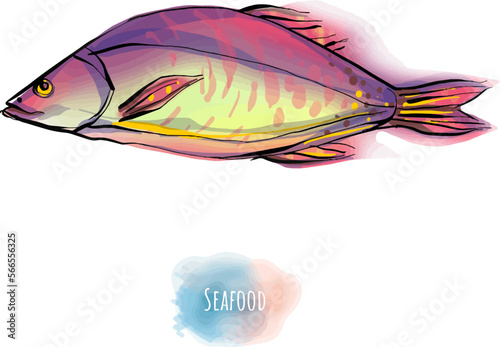 Delicious Asian restaurant dishes, snacks. Set, frame, pattern. Sweets, sashimi, ramen, pancakes, fish pie, toki boki, fish