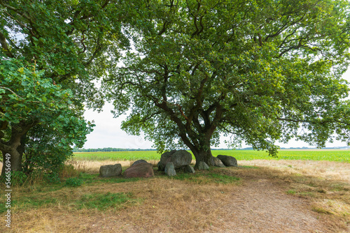 Dolmen D42, Emmer Es municipality of Emmen in the Dutch province of Drenthe is a Neolithic Tomb and protected historical monument in an natural environment photo