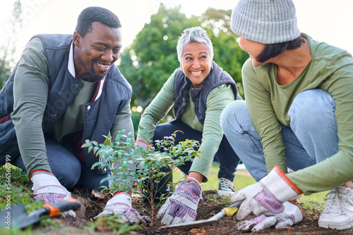 Community service, volunteering and people plant trees in park, garden and nature for sustainable environment. Climate change, soil gardening and sustainability for earth day, growth or green ecology photo