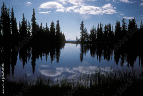 Colorado Rockies photo