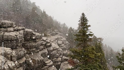 irst snowfall and nature with view of mountains photo