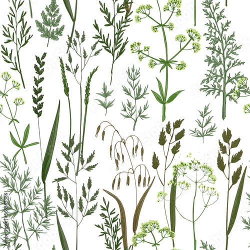 Fototapeta Naklejka Na Ścianę i Meble -  Pattern herbs and flowers painted color line. Vector drawing. Wild herbs. Wildflower