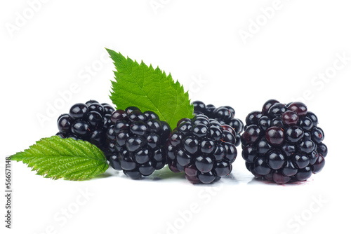 blackberry isolated on white background