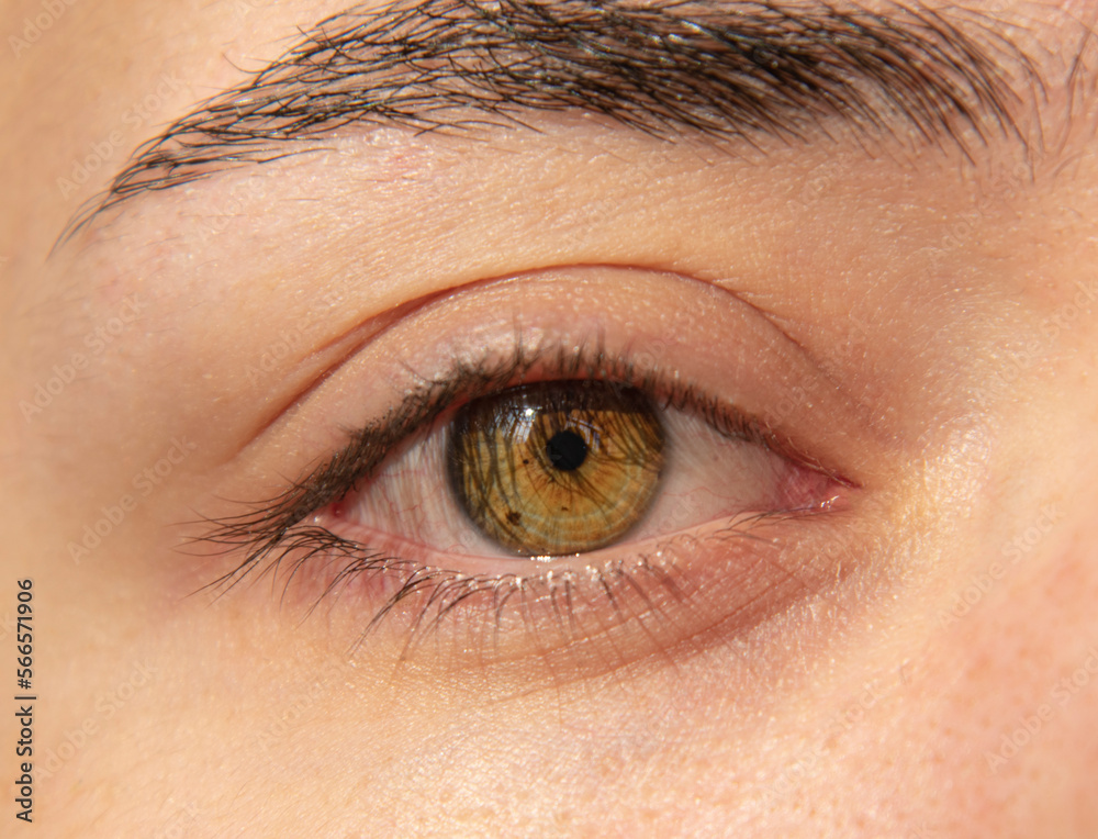 Obraz premium A person's eyes can tell a lot about him.