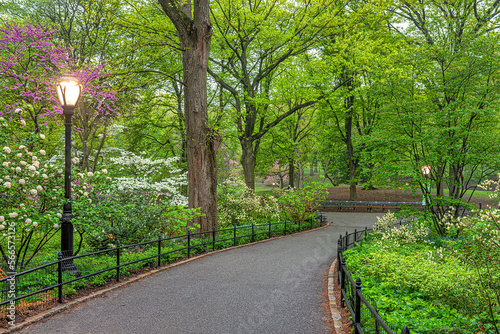 Central Park in spring