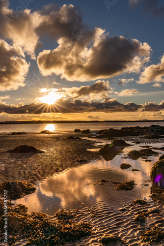 Early morning walk at Penrhos Nature park Islae of Angelsey photo