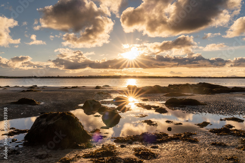 Early morning walk at Penrhos Nature park Islae of Angelsey photo