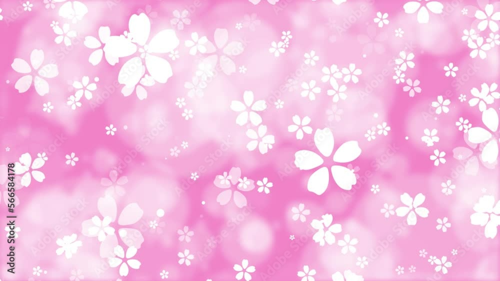 White cartoon cherry blossoms. Pink spring background. Romantic bokeh. Sakura flowers. Easter. Loop. 25fps White cartoon cherry blossoms. Pink spring background. Romantic bokeh. Sakura flowers. Easter. Loop. 25fps