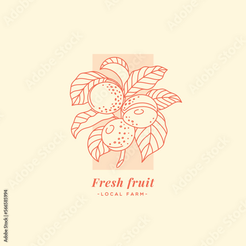 Apricot label