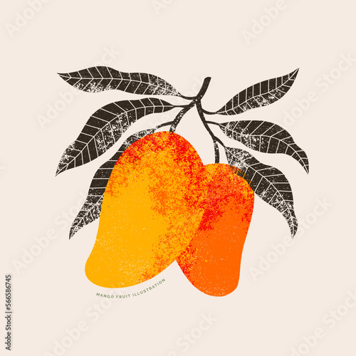 Mango fruit abstract illustration. Vintage style. Ripe mango plant with leaves. 