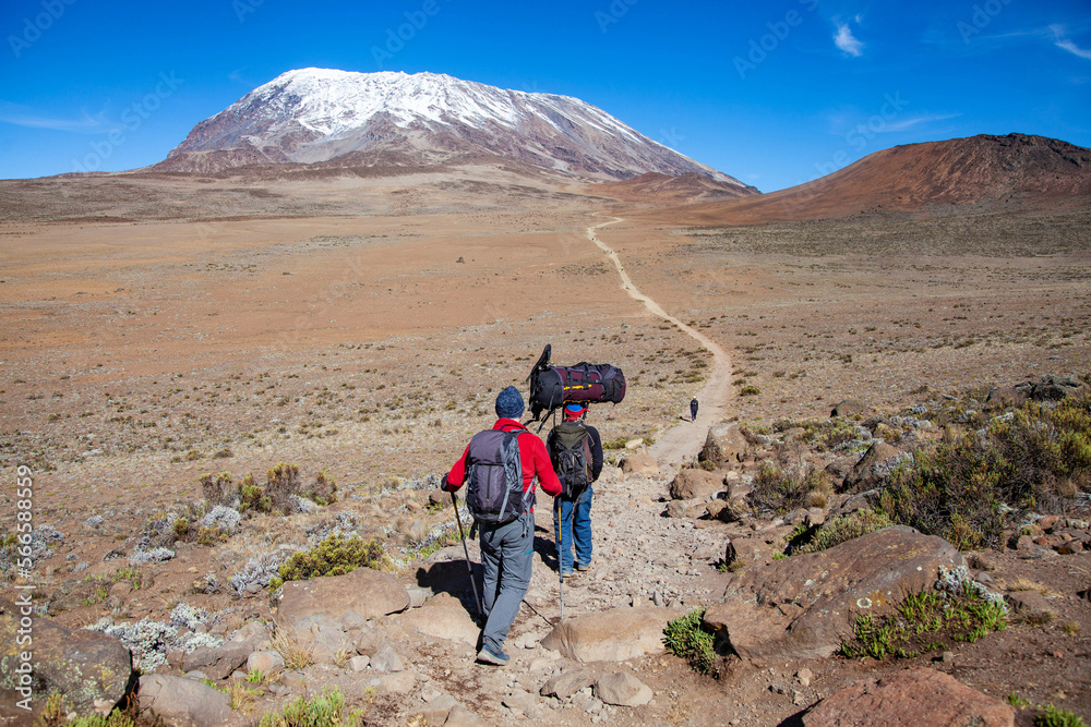 A porter carrying heavy load on his head on the way to Kilimanjaro mountain. Tanzania.
