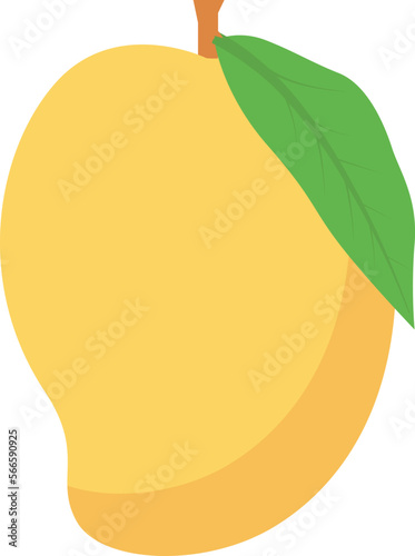 activity mango and fruit