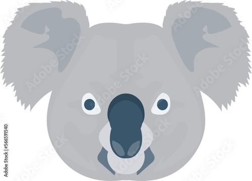 animal   elephant and zoo