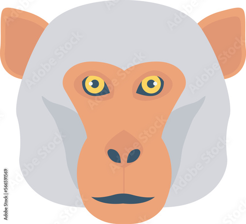 animal   gorilla and monkey