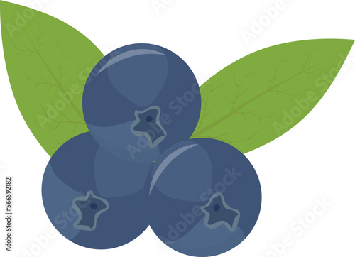 fruits cherry and vegan