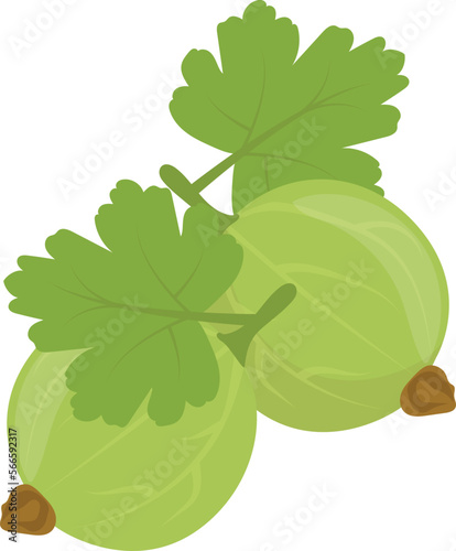fruits fresh and drink