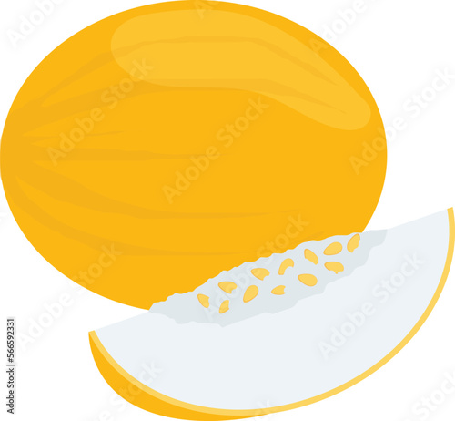 fruits melon and fresh