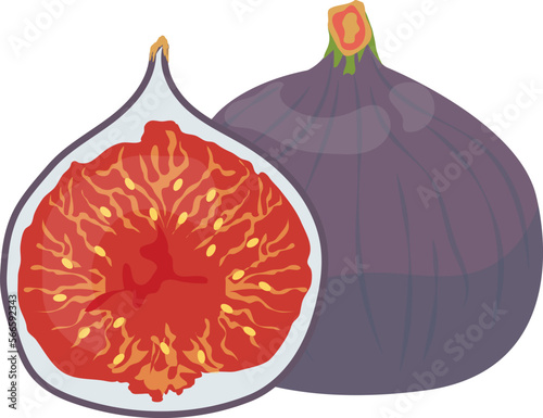 fruits fig and vegan