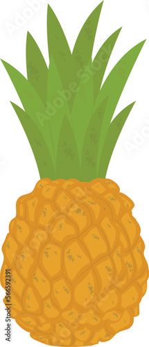 fruits fruit and fruits