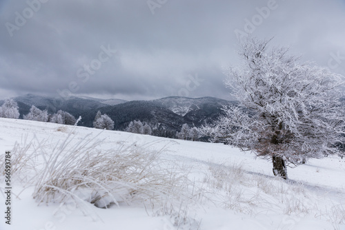 Dramatic winter landscape u...