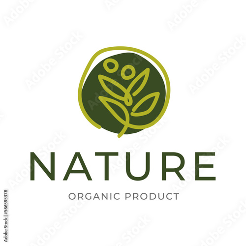 olive oil leaf logo botanical line art
