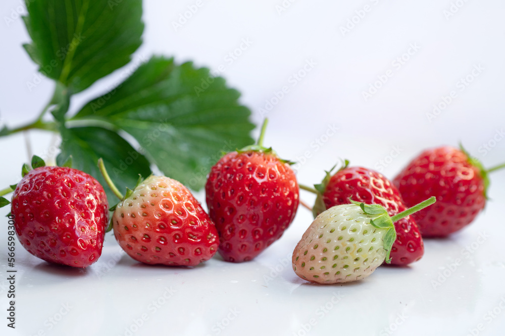 Fresh strawberries with green leaf Isolated on white background Fresh strawberries with green leaf Isolated on white background