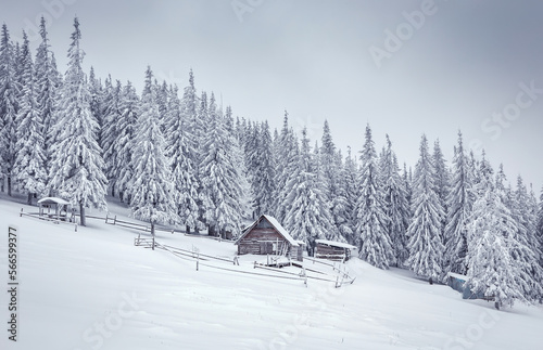 Amazing winter nature scenery. Beautiful winter mountain landscape with traditional mountain hut in the forest on highland. Wintry wonderland wallpaper. Winter vacations. chrismas holiday concept.