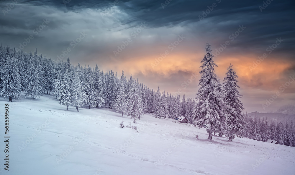 Fantastic winter landscape during sunset. colorful sky glowing by sunlight. Dramatic wintry scene. snow covered trees under warm sunlit. Sunlight sparkling in the snow. Splendid Alpine winter