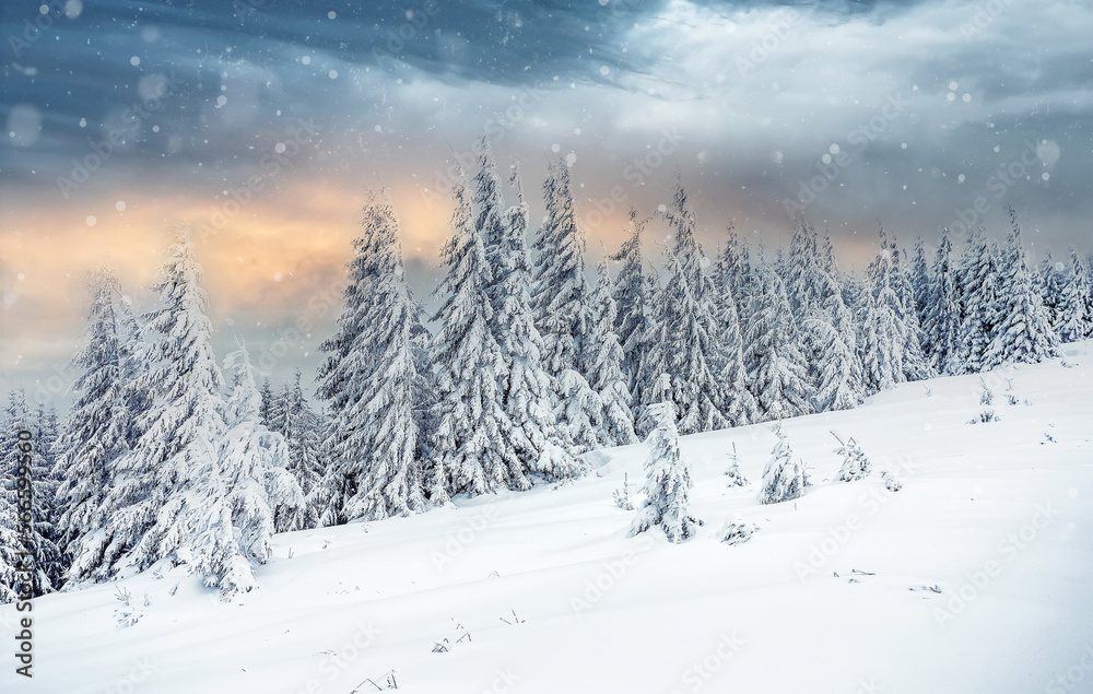 Stunning winter landscape with colorful sky during sunset. Wonderful Alpine Highlands in Sunny Day. Retro style. Instagram Filter. Picture of wild area. WAmazing Christmas Scene.  nature background