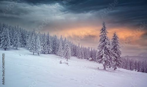 Fantastic winter landscape during sunset. colorful sky glowing by sunlight. Dramatic wintry scene. snow covered trees under warm sunlit. Sunlight sparkling in the snow. Splendid Alpine winter © jenyateua