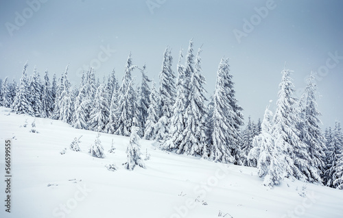Wonderfu winter landscape. Wonderful Alpine Highlands in Sunny Day. Retro style. Instagram Filter. Picture of wild area. WAmazing Christmas Scene.  nature lbackground