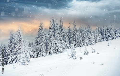 Stunning winter landscape with colorful sky during sunset. Wonderful Alpine Highlands in Sunny Day. Retro style. Instagram Filter. Picture of wild area. WAmazing Christmas Scene.  nature background © jenyateua