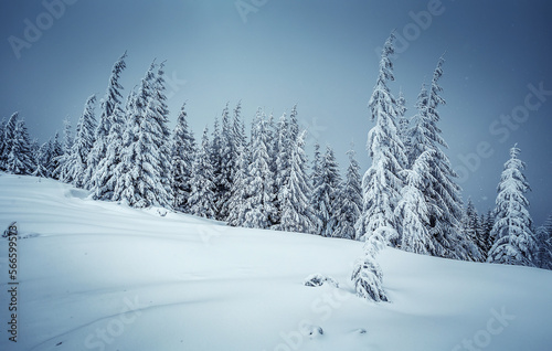 Wonderfu winter landscape. Wonderful Alpine Highlands in Sunny Day. Retro style. Instagram Filter. Picture of wild area. WAmazing Christmas Scene.  nature lbackground © jenyateua